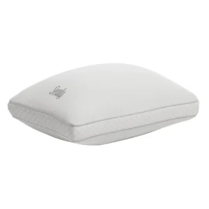 Original Sealy Sterling Collection Down-Alternative Pillow | Buykapra | 2-pack